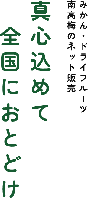 みかん・ドライフルーツ 南高梅のネット販売 真心込めて全国におとどけ